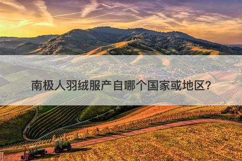 南极人羽绒服产自哪个国家或地区？