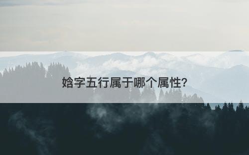 娢字五行属于哪个属性？