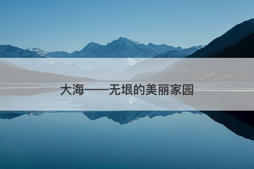 大海——无垠的美丽家园