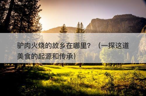 驴肉火烧的故乡在哪里？（一探这道美食的起源和传承）