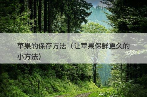 苹果的保存方法（让苹果保鲜更久的小方法）