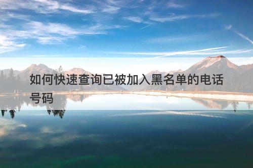 如何快速查询已被加入黑名单的电话号码