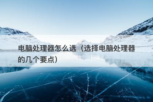 电脑处理器怎么选（选择电脑处理器的几个要点）