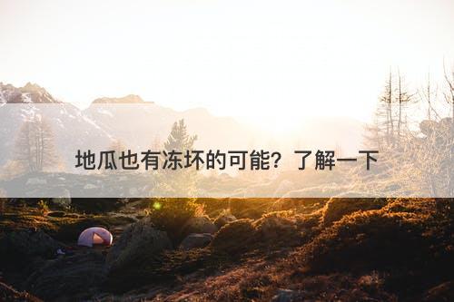 地瓜也有冻坏的可能？了解一下
