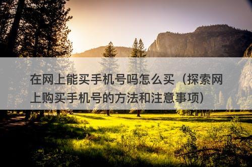 在网上能买手机号吗怎么买（探索网上购买手机号的方法和注意事项）
