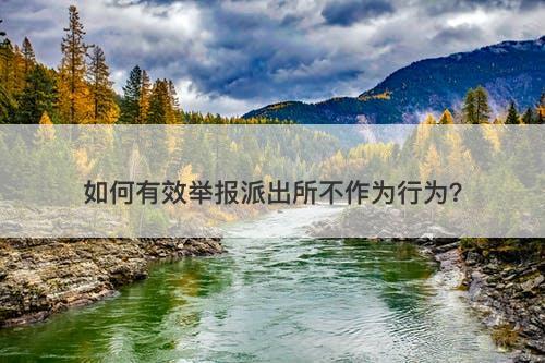 如何有效举报派出所不作为行为？