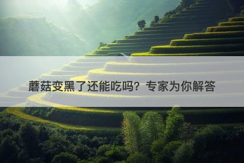 蘑菇变黑了还能吃吗？专家为你解答