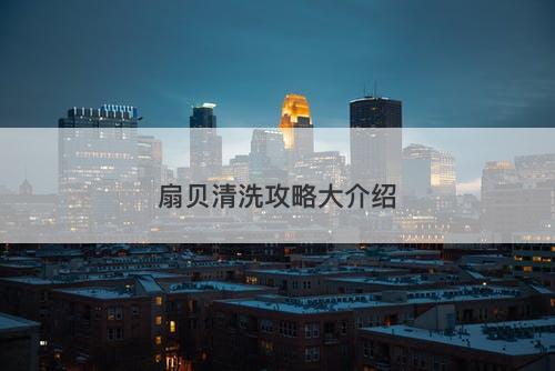 扇贝清洗攻略大介绍