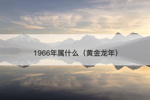 1966年属什么（黄金龙年）
