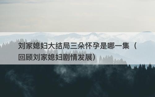 刘家媳妇大结局三朵怀孕是哪一集（回顾刘家媳妇剧情发展）