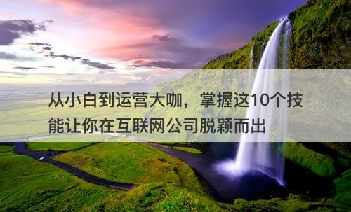 从小白到运营大咖，掌握这10个技能让你在互联网公司脱颖而出