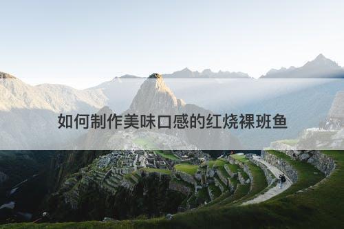如何制作美味口感的红烧裸班鱼