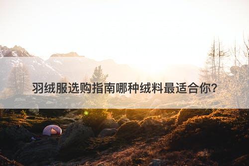 羽绒服选购指南哪种绒料最适合你？