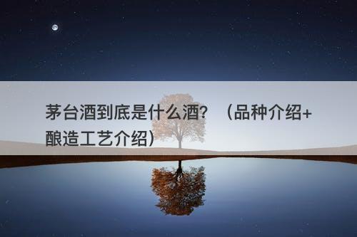 茅台酒到底是什么酒？（品种介绍+酿造工艺介绍）