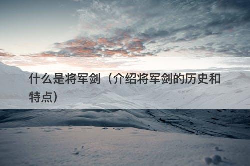 什么是将军剑（介绍将军剑的历史和特点）