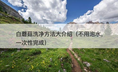 白蘑菇洗净方法大介绍（不用泡水，一次性完成）