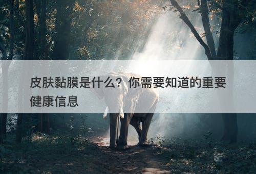 皮肤黏膜是什么？你需要知道的重要健康信息