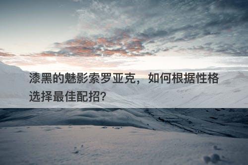 漆黑的魅影索罗亚克，如何根据性格选择最佳配招？