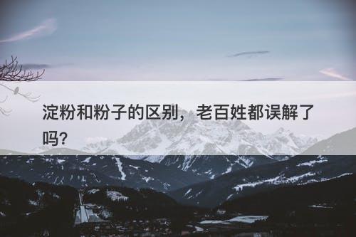 淀粉和粉子的区别，老百姓都误解了吗？