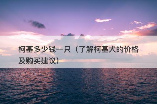 柯基多少钱一只（了解柯基犬的价格及购买建议）