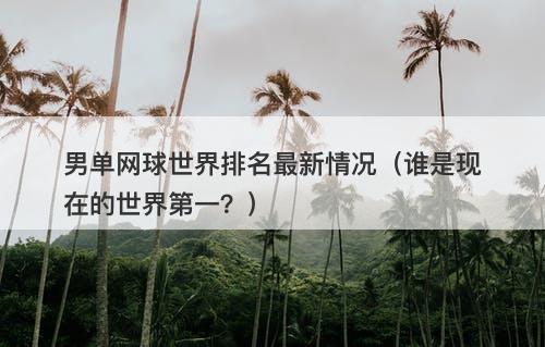 男单网球世界排名最新情况（谁是现在的世界第一？）