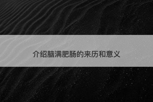 介绍脑满肥肠的来历和意义