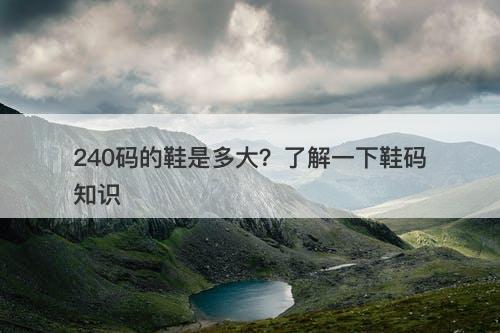 240码的鞋是多大？了解一下鞋码知识-图1