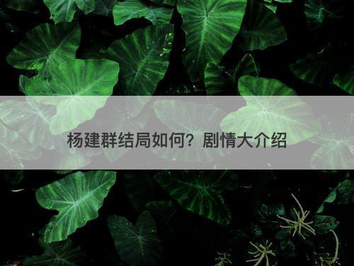 杨建群结局如何？剧情大介绍-图1