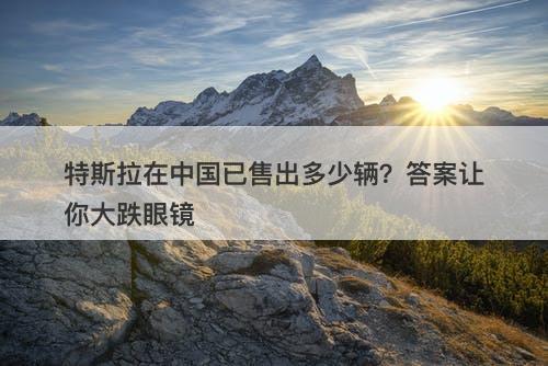 特斯拉在中国已售出多少辆？答案让你大跌眼镜