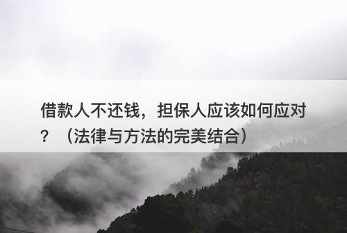 借款人不还钱，担保人应该如何应对？（法律与方法的完美结合）