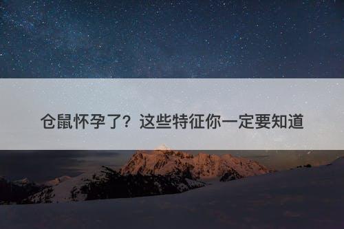 仓鼠怀孕了？这些特征你一定要知道