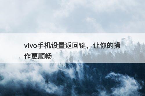 vivo手机设置返回键，让你的操作更顺畅