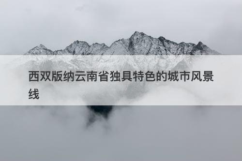 西双版纳云南省独具特色的城市风景线