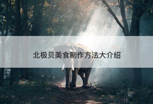北极贝美食制作方法大介绍