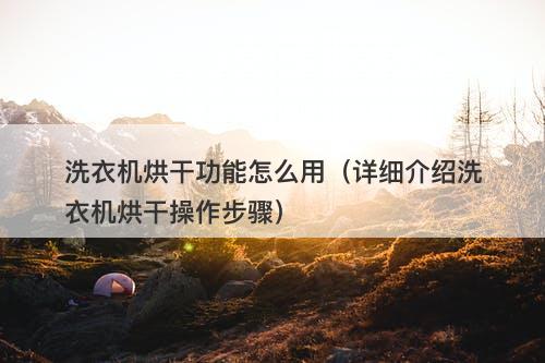 洗衣机烘干功能怎么用（详细介绍洗衣机烘干操作步骤）-图1