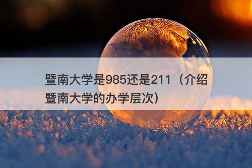 暨南大学是985还是211（介绍暨南大学的办学层次）-图1