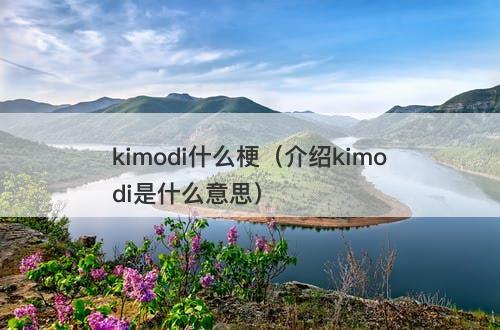 kimodi什么梗（介绍kimodi是什么意思）-图1