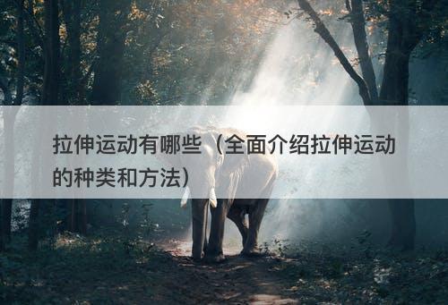 拉伸运动有哪些（全面介绍拉伸运动的种类和方法）-图1