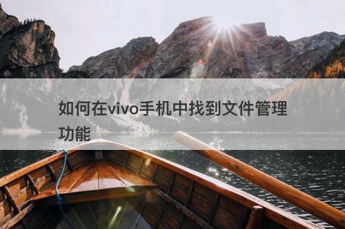 如何在vivo手机中找到文件管理功能-图1
