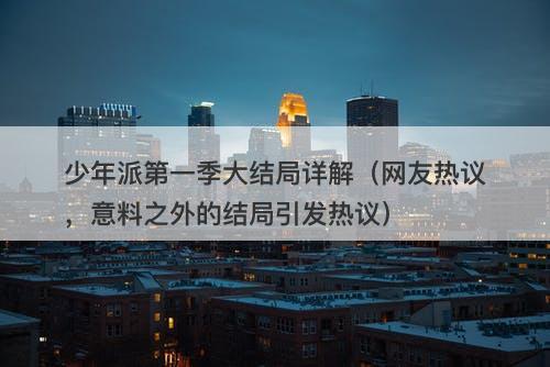 少年派第一季大结局详解（网友热议，意料之外的结局引发热议）