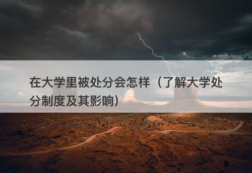 在大学里被处分会怎样（了解大学处分制度及其影响）
