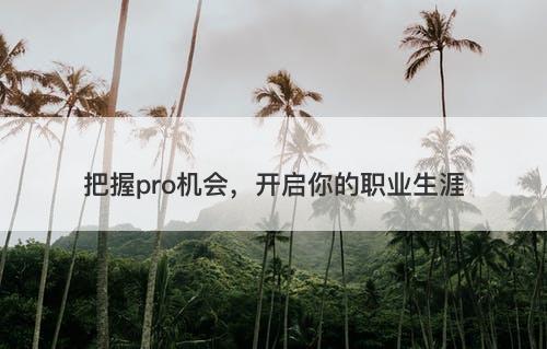 把握pro机会，开启你的职业生涯