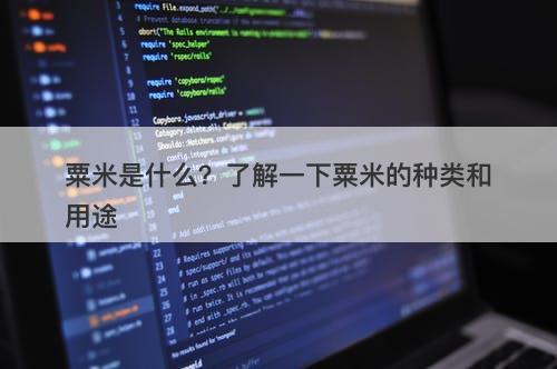 粟米是什么？了解一下粟米的种类和用途-图1