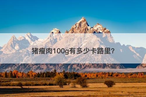 猪瘦肉100g有多少卡路里？-图1