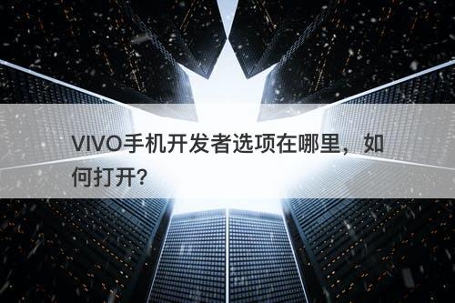VIVO手机开发者选项在哪里，如何打开？