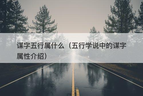 谋字五行属什么（五行学说中的谋字属性介绍）