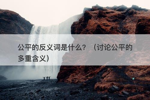 公平的反义词是什么？（讨论公平的多重含义）