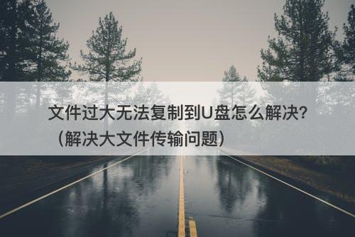 文件过大无法复制到U盘怎么解决？（解决大文件传输问题）