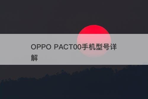 OPPO PACT00手机型号详解