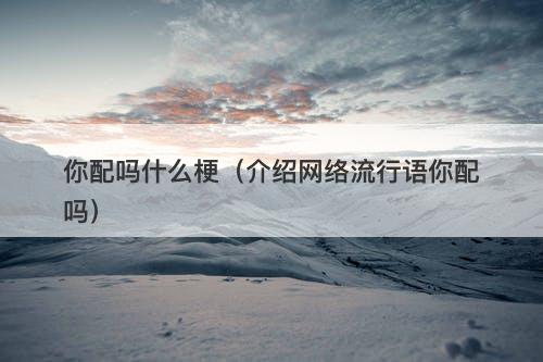 你配吗什么梗（介绍网络流行语你配吗）